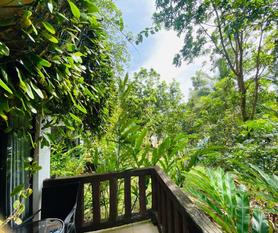 Catanauan Cove White Sand Beach Resort المظهر الخارجي الصورة